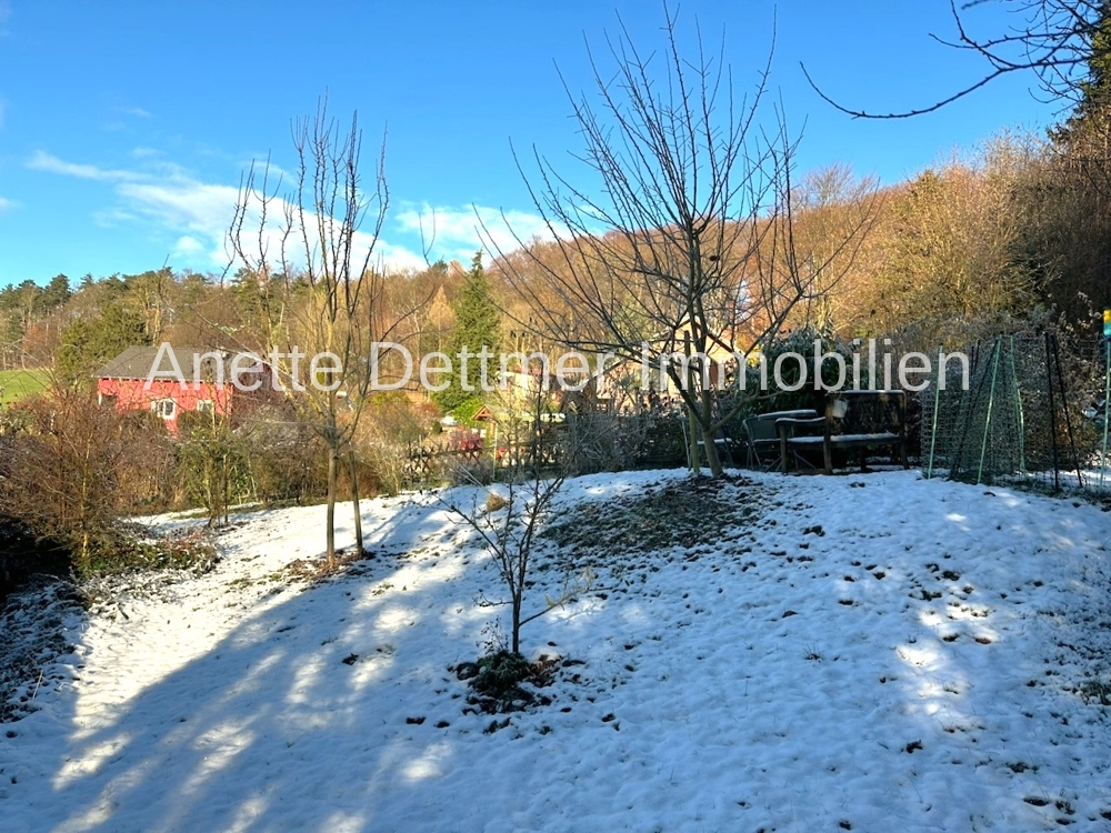 Garten im Winter