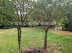 Garten - Mehrfamilienhaus mit Scheune und Garagen