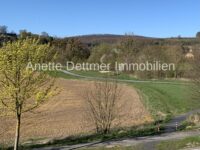 Blick zum Auenpark