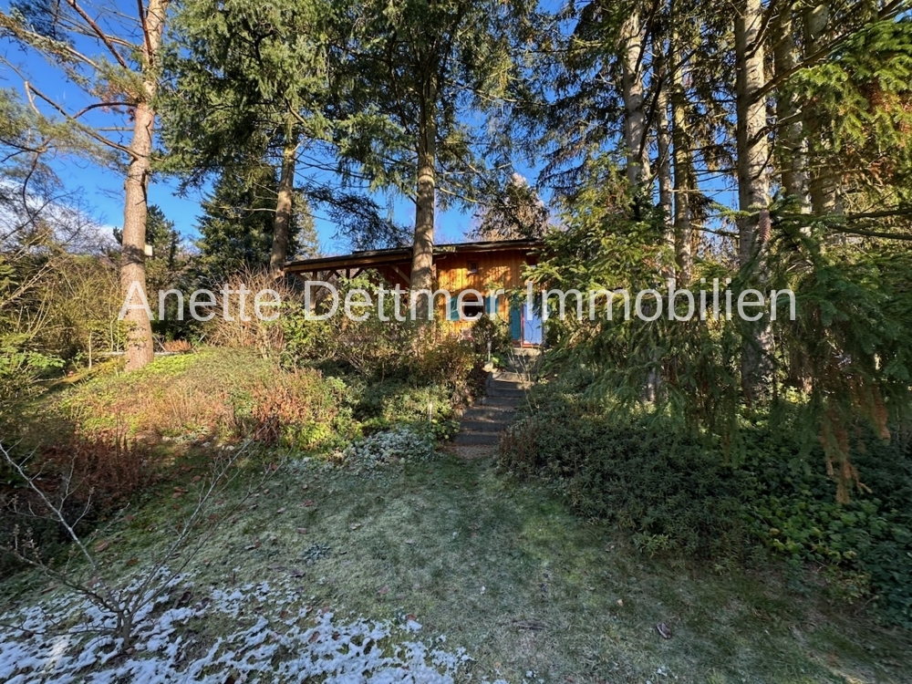 Garten im Winter