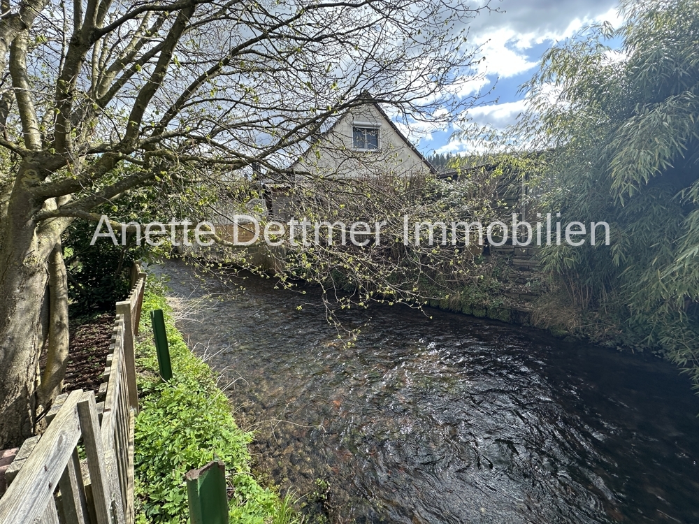 16 Sicht auf den Bach