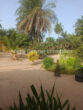 Zwei Häuser im Senegal in Atlantiknähe! - Garten