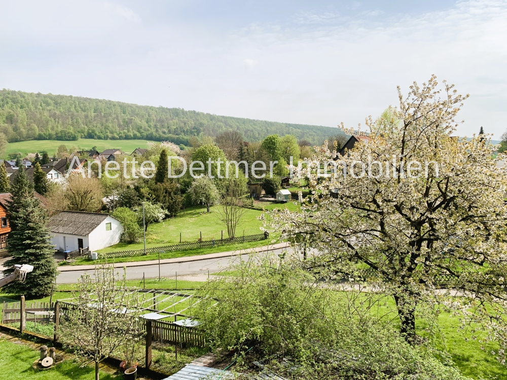 Ausblick in Garten und Umgebung
