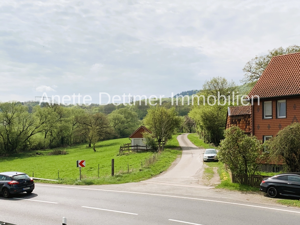 Ausblick