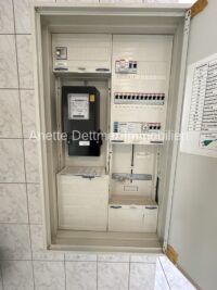 10.1  Elektrik Zentralisierung